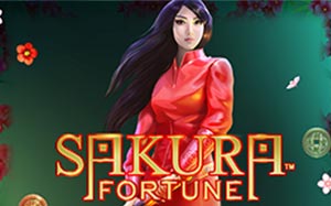 Sakura Fortune